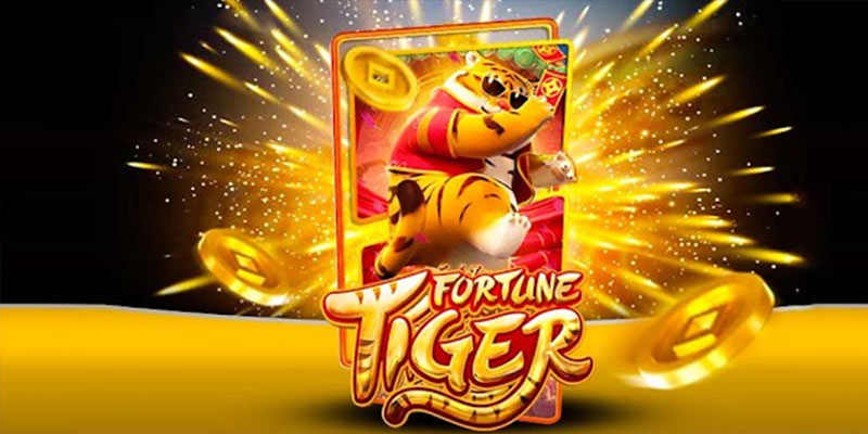 Quem é o Fortune Tiger 56d bet.Com